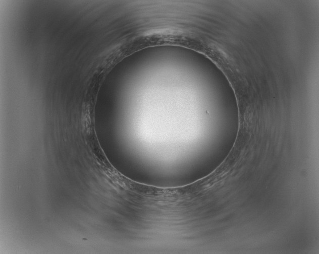 X0000073461062200608111504