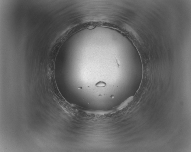 X0000073461064200608111504