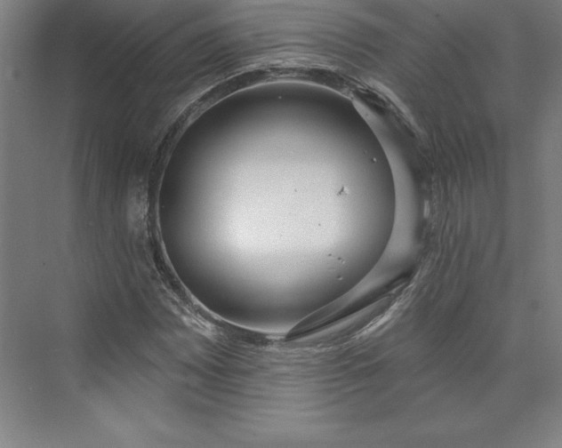 X0000073461065200608111504