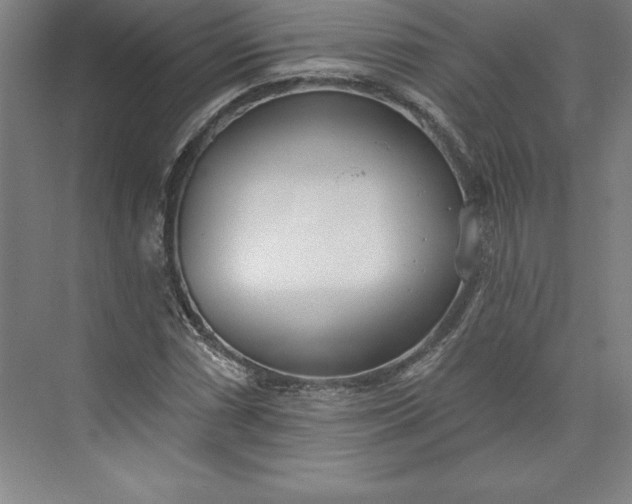 X0000073461066200608111504