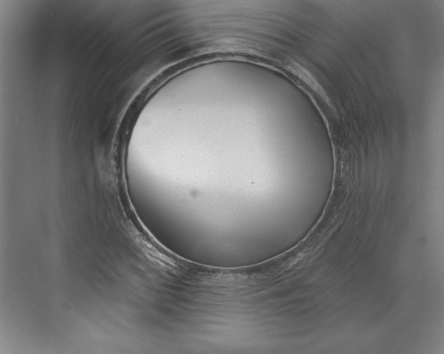 X0000073461068200608111504