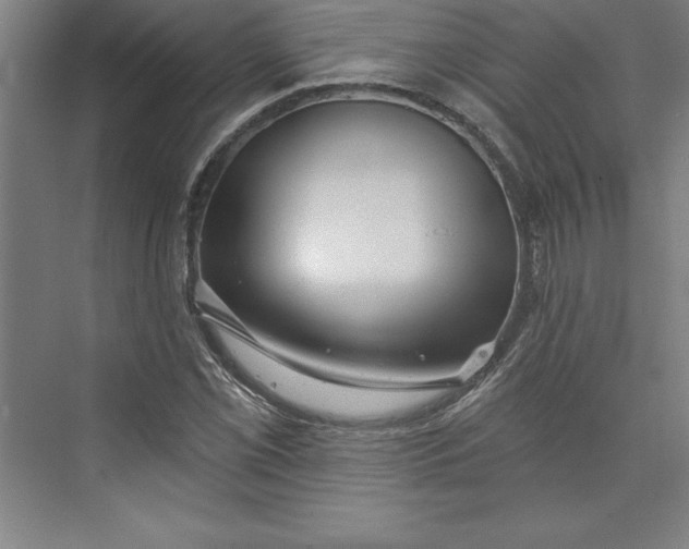 X0000073461069200608111504