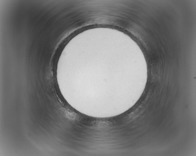 X0000073461070200608111504