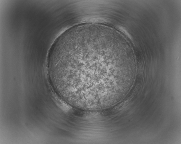 X0000073461071200608111504