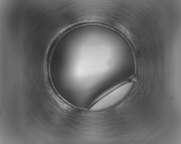 X0000073461072200608111504