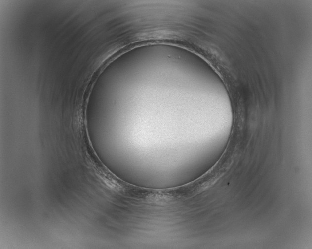 X0000073461073200608111504