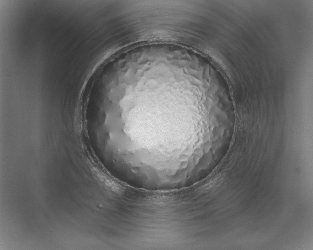 X0000073461075200608111504