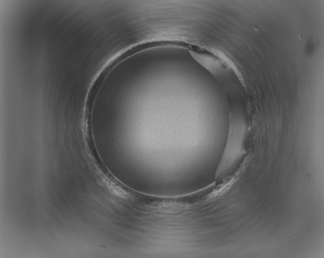 X0000073461077200608111504