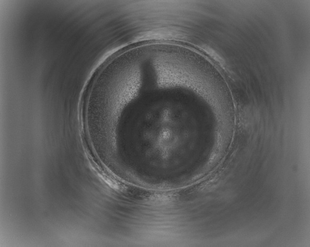 X0000073461078200608111504