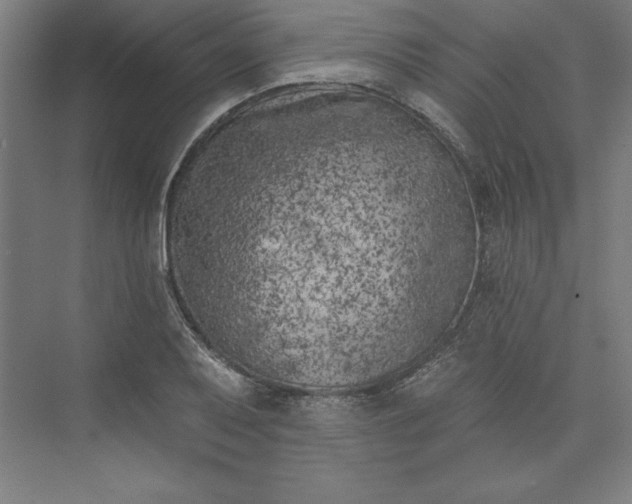 X0000073461079200608111504