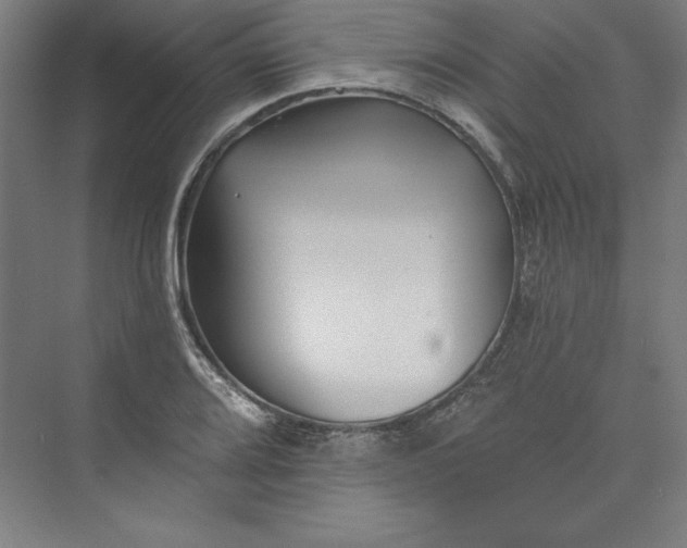 X0000073461080200608111504