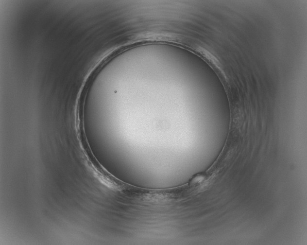 X0000073461082200608111504