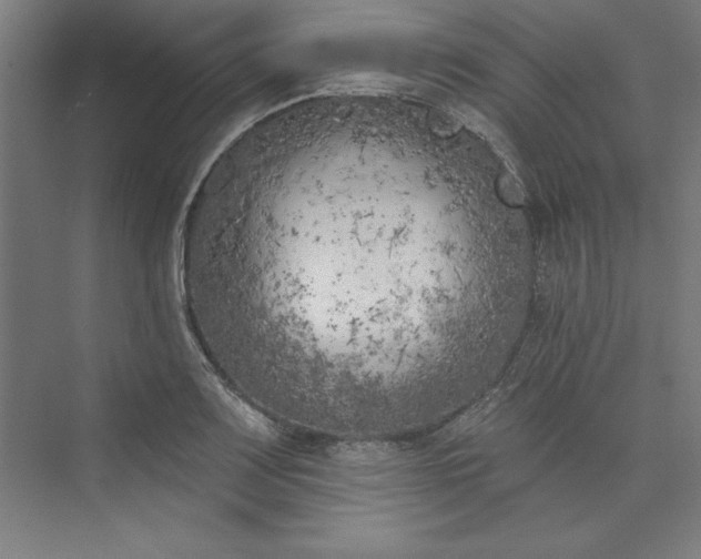 X0000073461083200608111504