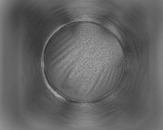 X0000073461084200608111504