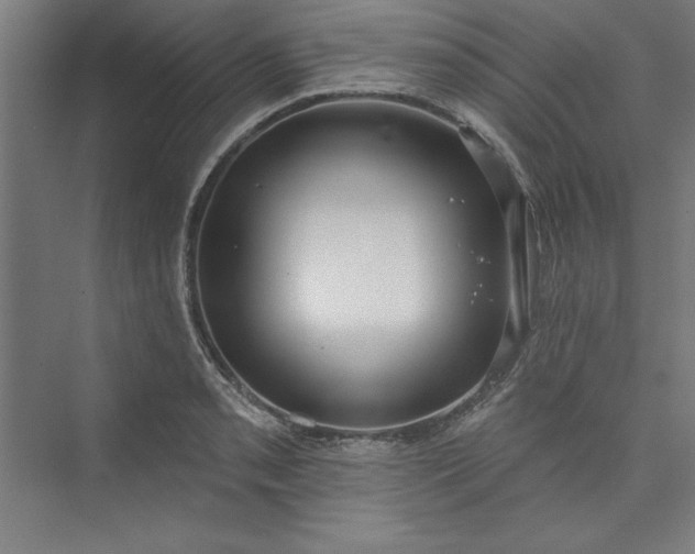 X0000073461085200608111504