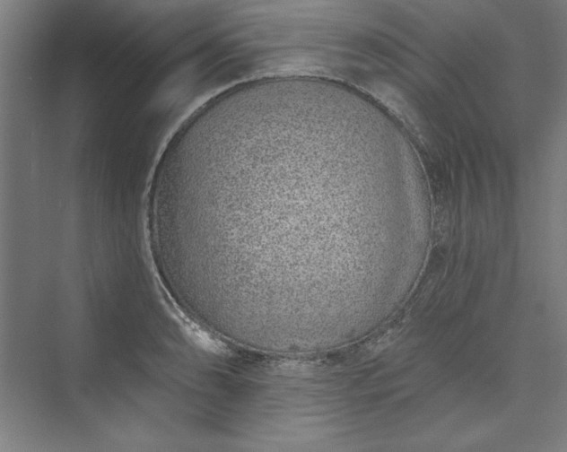 X0000073461086200608111504