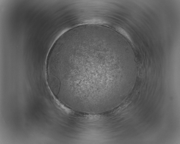 X0000073461087200608111504