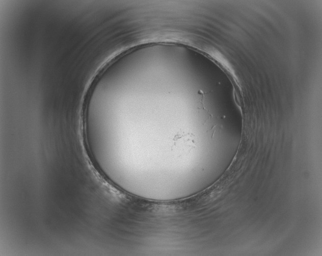 X0000073461088200608111504