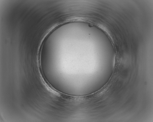 X0000073461090200608111504