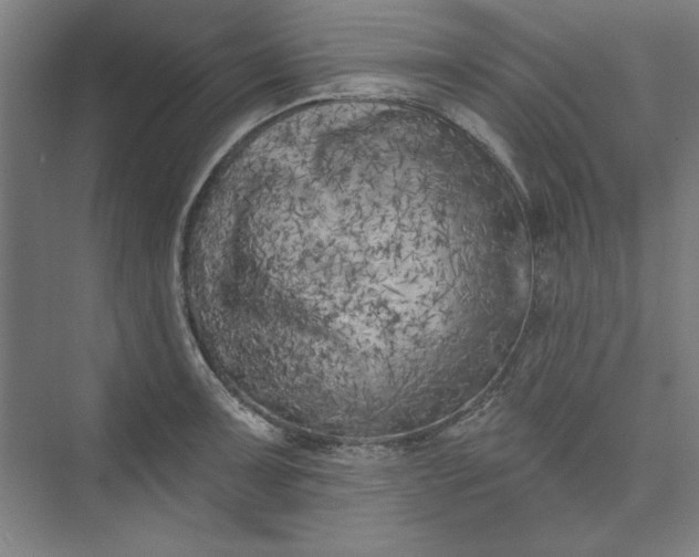 X0000073461091200608111504