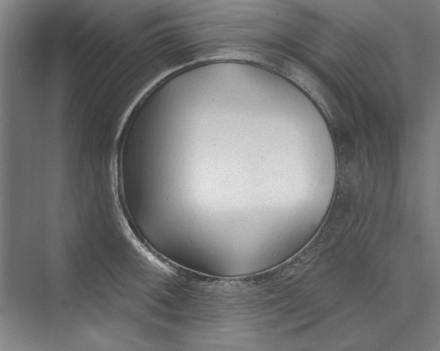 X0000073461092200608111504