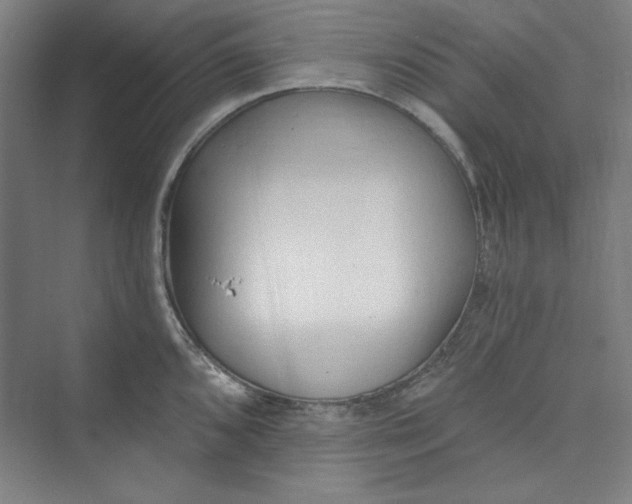 X0000073461096200608111503