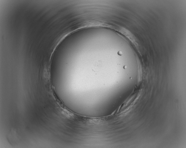 X0000073461097200608111503