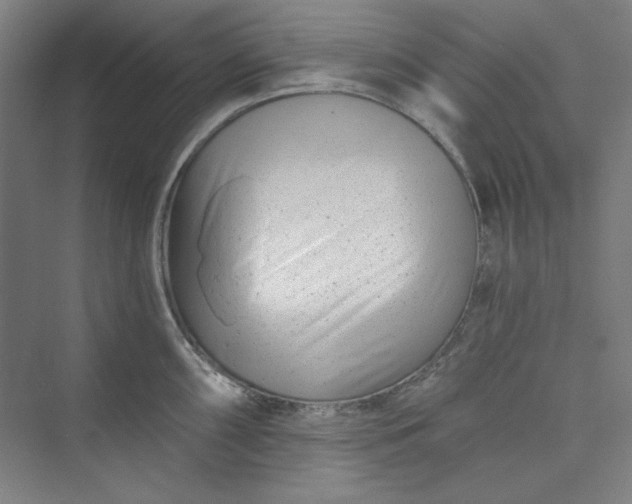 X0000073461098200608111503