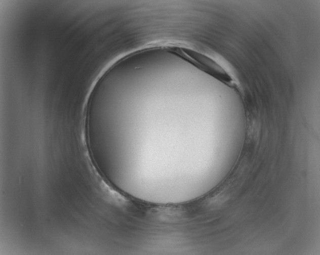 X0000073461102200608111503