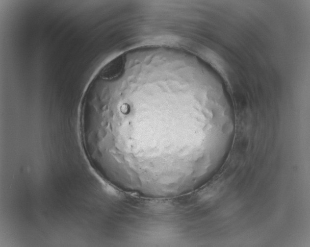 X0000073461103200608111503