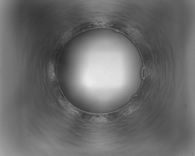 X0000073461106200608111503