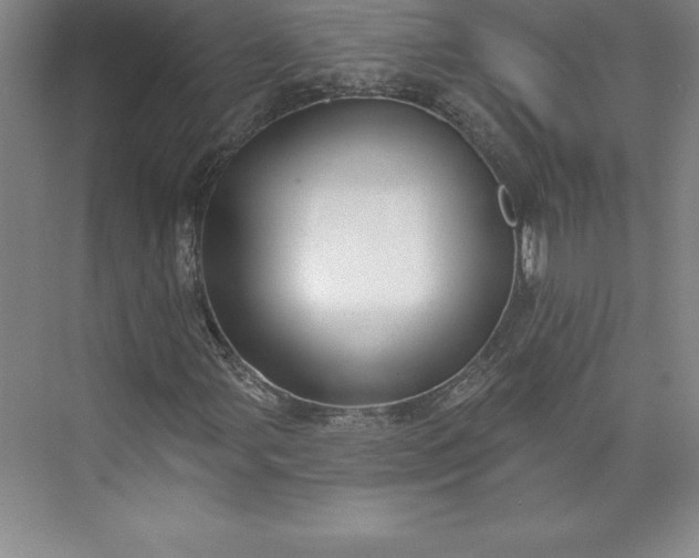 X0000073461107200608111503