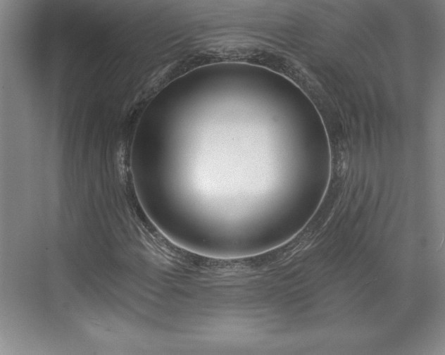 X0000073461108200608111503