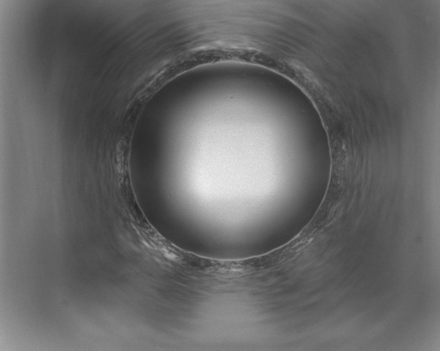 X0000073461110200608111503