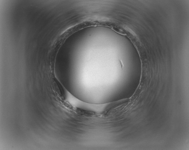 X0000073461112200608111503