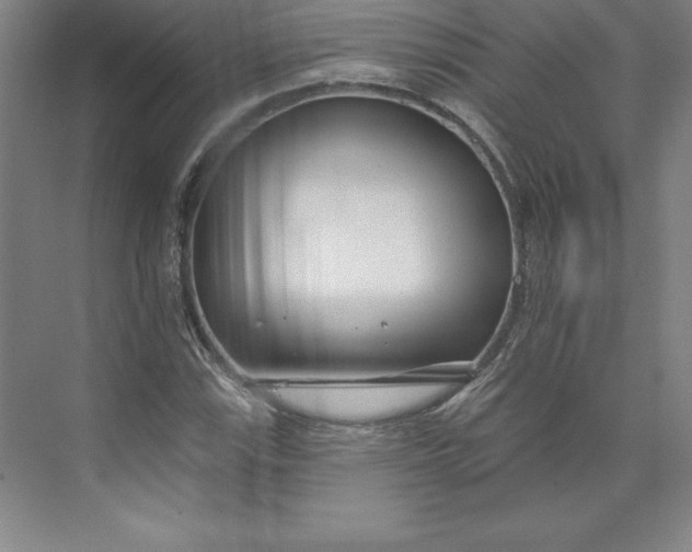 X0000073461115200608111503