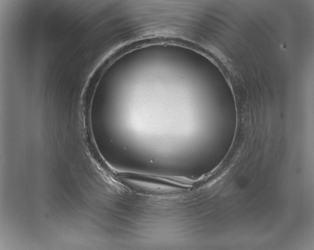 X0000073461118200608111503