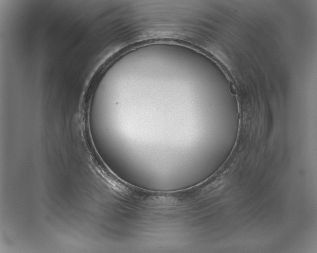 X0000073461119200608111503