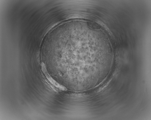 X0000073461121200608111503