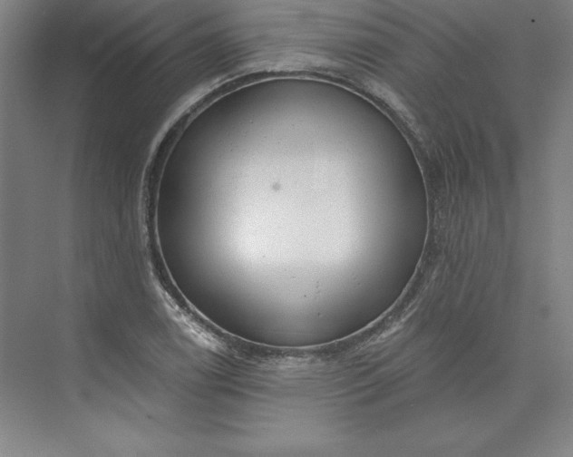 X0000073461122200608111503