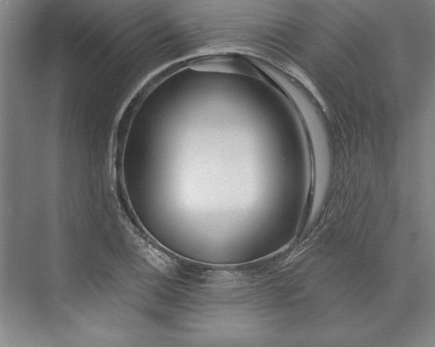 X0000073461124200608111503