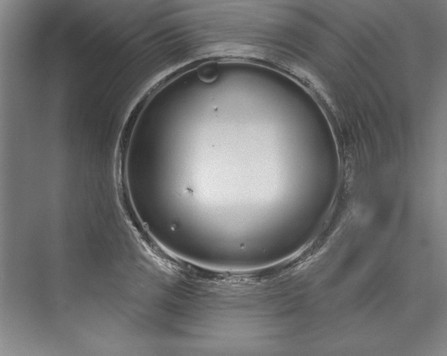 X0000073461125200608111503