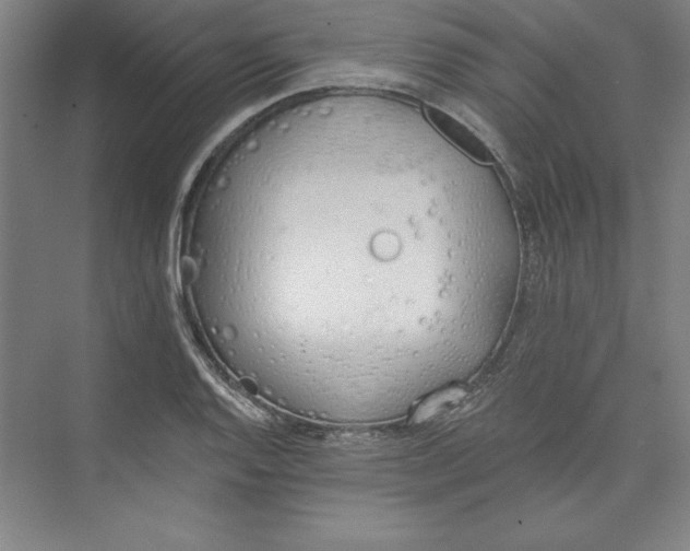 X0000073461128200608111503