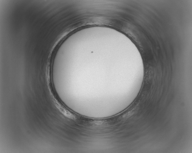 X0000073461130200608111503