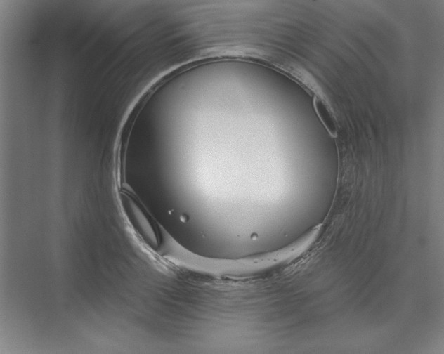 X0000073461132200608111503