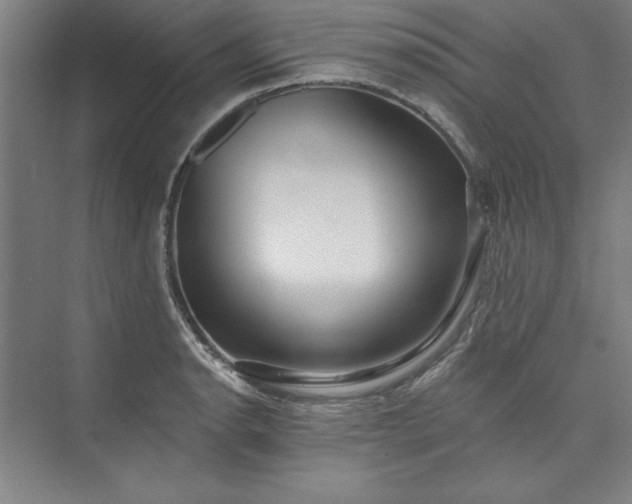 X0000073461134200608111503