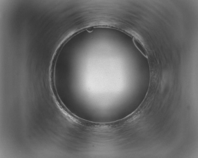 X0000073461135200608111503