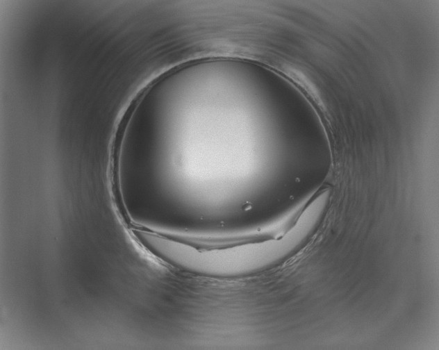 X0000073461136200608111503