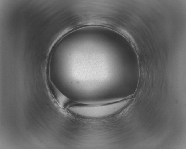 X0000073461138200608111503