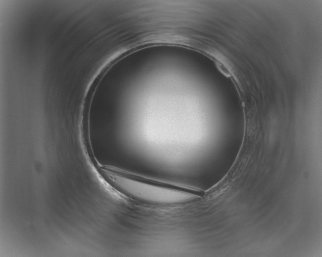 X0000073461139200608111503